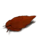 Finage Leaf