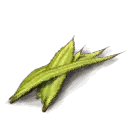 Whirlweed