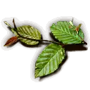 Belmart Leaves