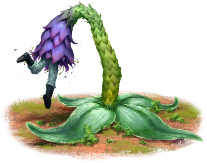 Disdychonda