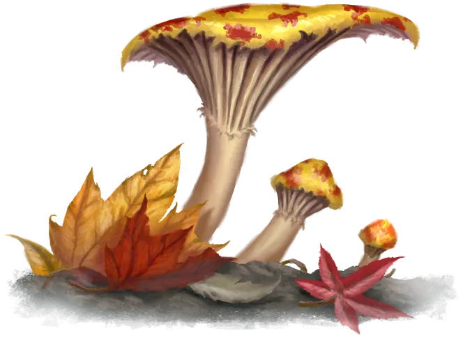 Festering Toadstool