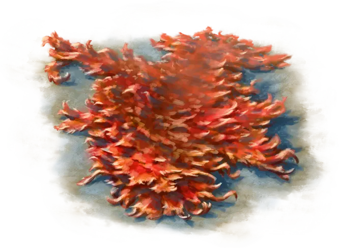 Feuerschlick