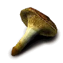 Toadstool