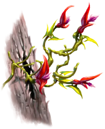 Red Arrowhead Flower