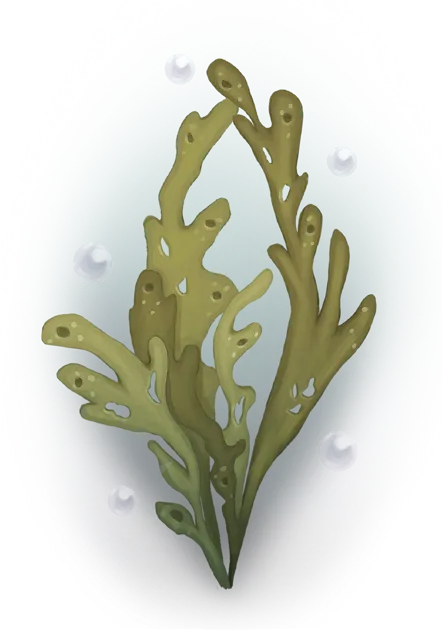 Sansaro