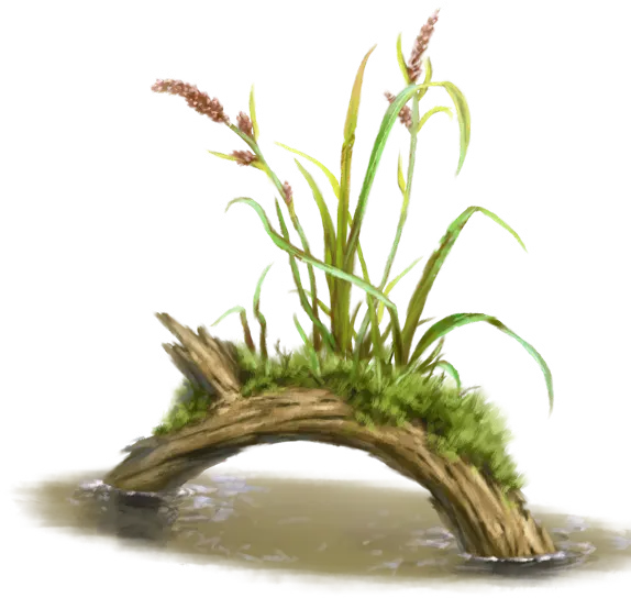 Creeping Grass