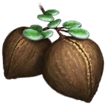 Yagan Nut