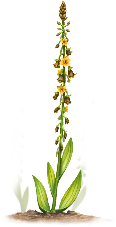 Boronie