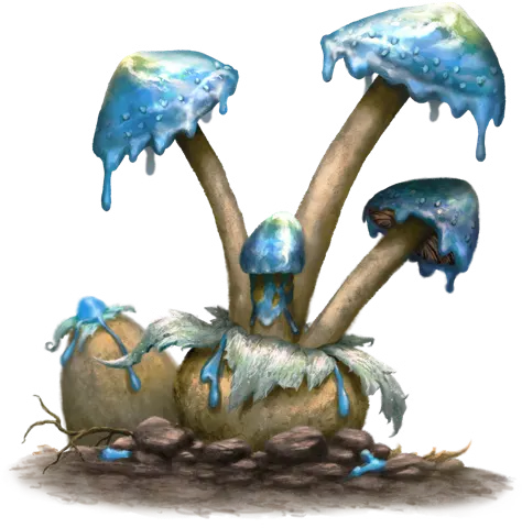 Blauschirmpilz