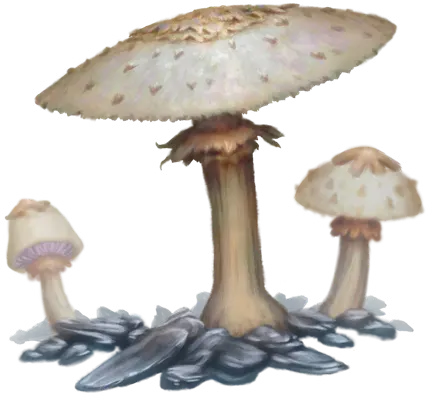 Dergolasch