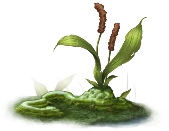 Grüne Schleimschlange
