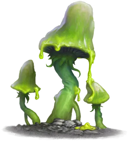 Grüner Schleimpilz