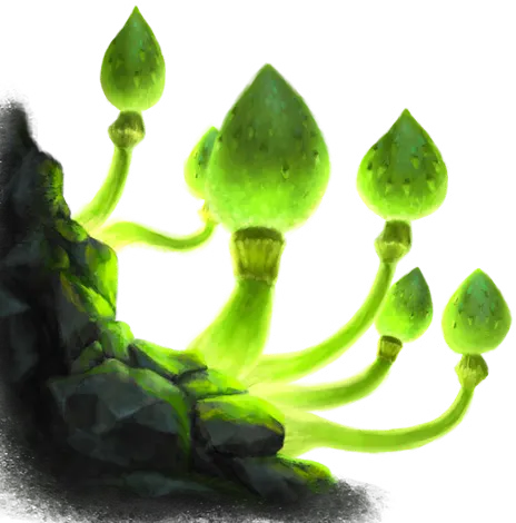 Phosphorus Fungus