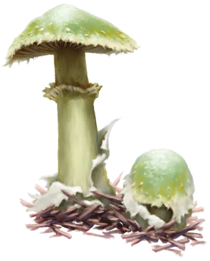 Slimy Swamp Knotmold