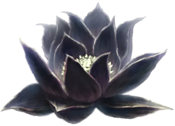 Black Lotus