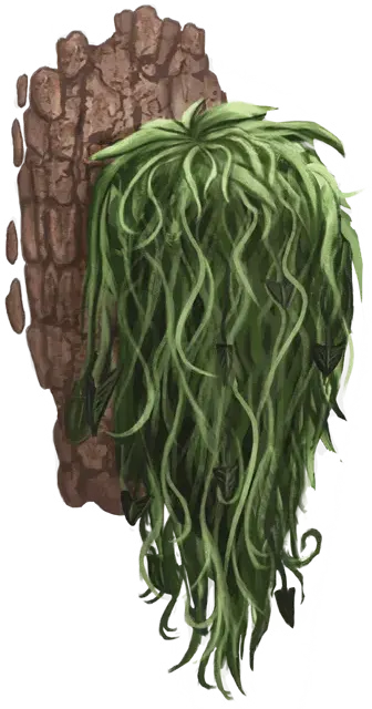 Thrashbeard
