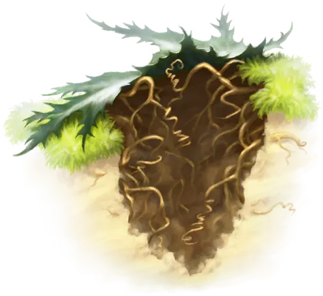 Funnel Root