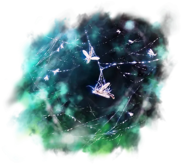 Wood Web