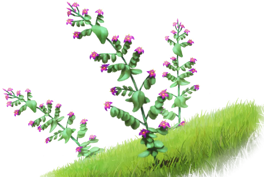 Zithabar Zithabar - Aventurien - DSA