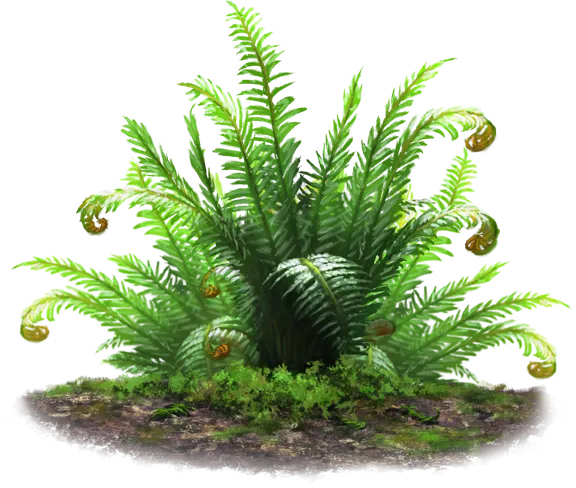 Twelve-Leaf Zwölfblatt - Aventurien - DSA