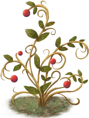 Quinja