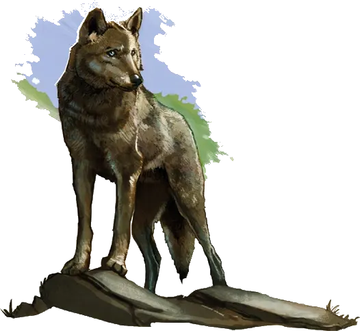 Griswolf - Aventurien - DSA