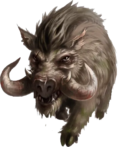 Wildschwein - Aventurien - DSA