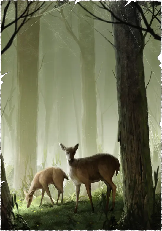 Die Wälder des Nordaventuriens