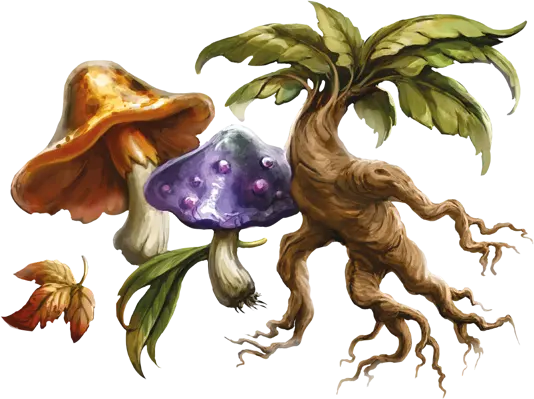 Aventuria Plants