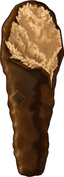Sleeping Bag