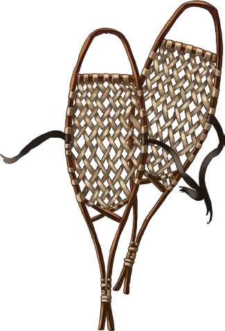 Snowshoes