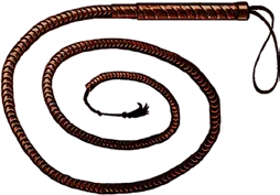 Horse Whip